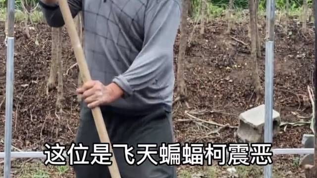 淳朴善良的山东人