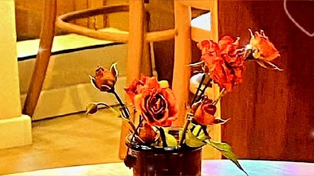 心灵深处的懂得