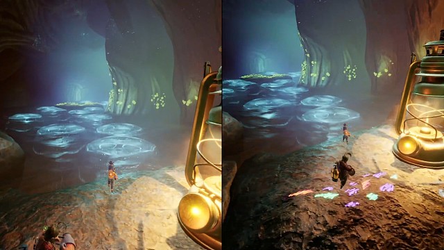 和你的ta感受奇妙的旅行