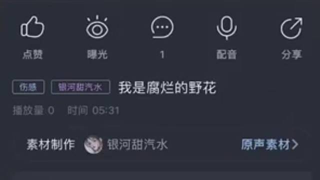 愿世界的人都能被温柔相待