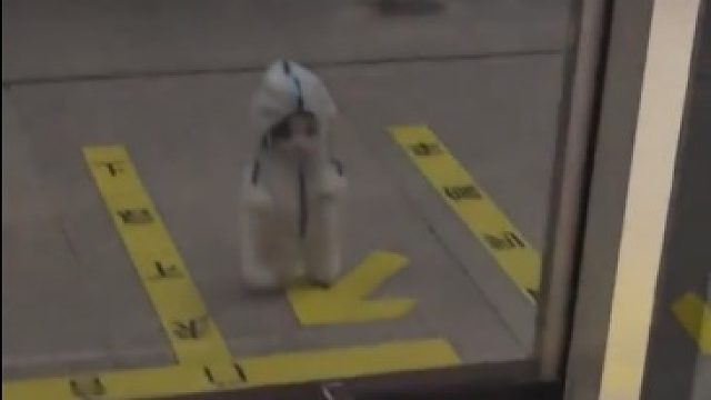 偶遇一只赶着去上班的小猫