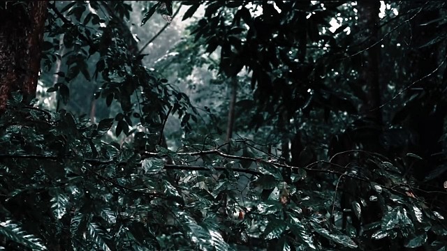 我差点死在了得知她喜欢上别人的那个晚上.