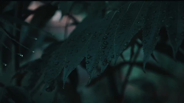 我会一直陪着你无论何时你转身我都在那儿在你一抬头就可以看到的地方.