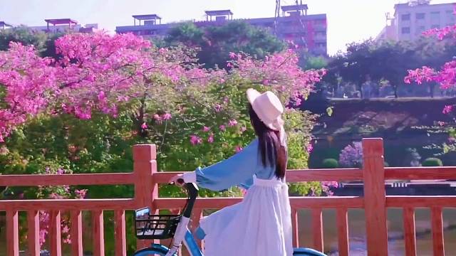 从未见过一个早起勤奋的人，抱怨命运不好