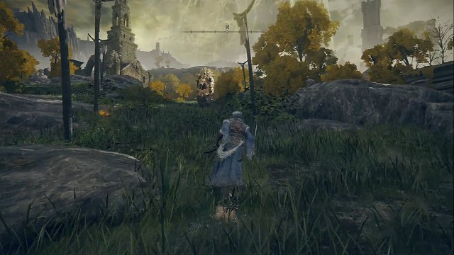 这就是大树守卫吗可惜我说艾尔登之汪。