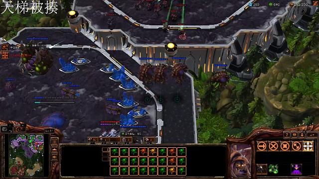 蟑螂被空投牵制死