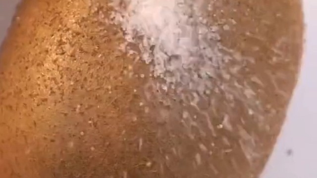 下次火龙果安排上了