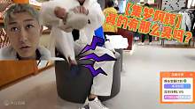【集梦阿辉】真的有那么臭吗?