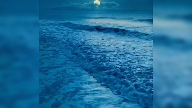 你迟到了很多年，可我依然为你的到来而高兴