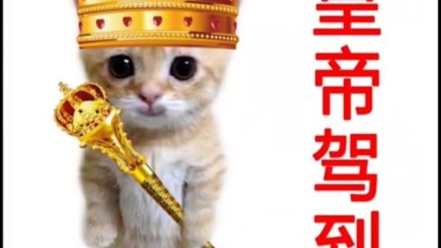 皇帝驾到！！！！！！