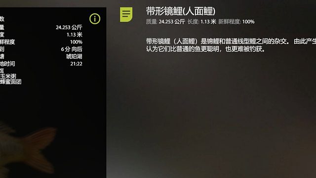 手竿：带型镜鲤（人面鲤）24.253 绝对榜第一