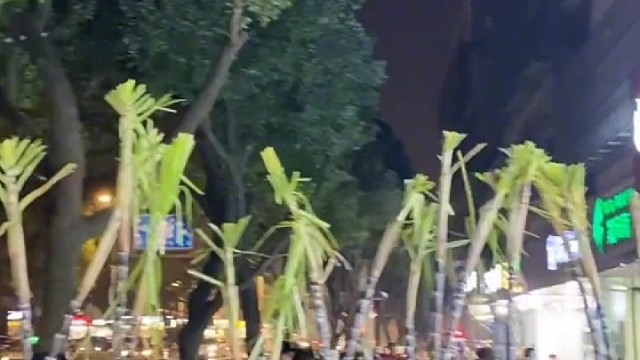 我一个不吃甘蔗的人，莫名的加入了排队的队伍！