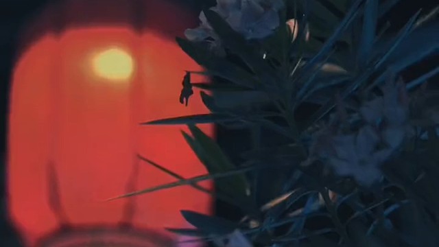 你最相信什么，我曾经相信一切，但是现在，只相信时间，因为在这个世界上，只有时间，不会背叛你