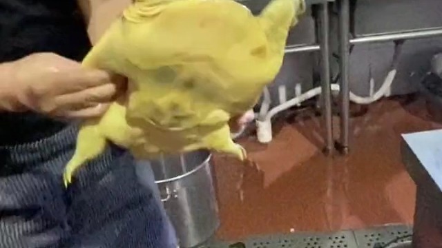 看这个颜色这个猛劲绝壁野生的