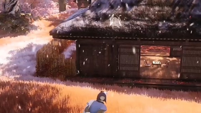 输了健康，赢了全世界又如何