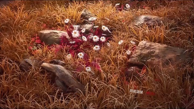 人生实苦，但人间值得，如果可以你还会选择