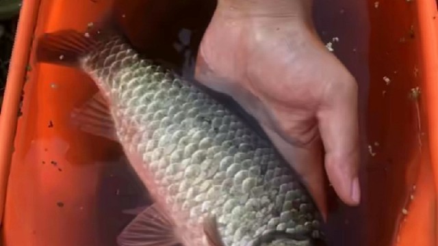 封竿咯！一人一竿远离喧嚣！