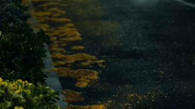 其实人这一辈子遇见对你好的人或许比较容易，但是遇见始终待你如初的人，却是很难的。