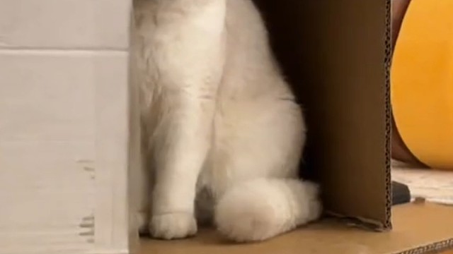 可以对我说一句嘛？