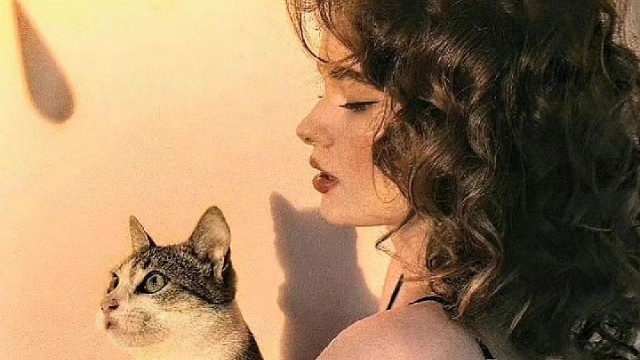 天很蓝，找个风大的地方把我忘了吧。