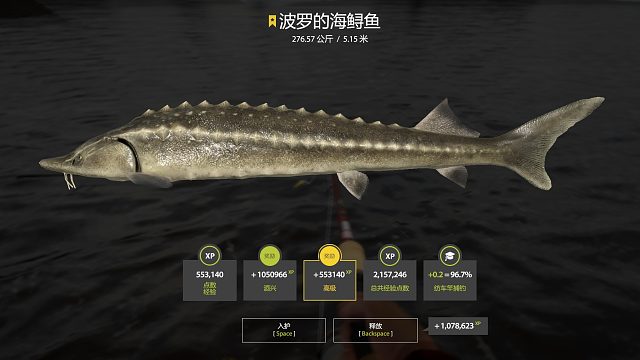 手上杆！276波罗  上 提供新手学习