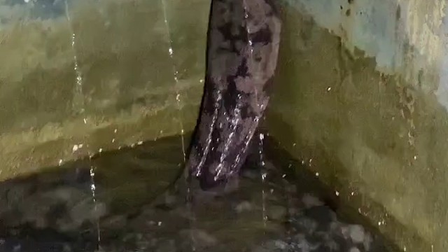 极品生鲜缔造者#各位看官仔细看何尝不是我们奋力攀爬的自己