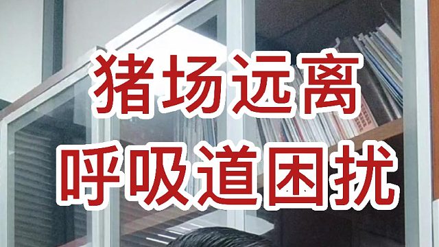 猪场远离呼吸道困扰 防控有妙招 视频最后附方案#养猪知识 #猪病 #知识分享 #猪呼吸道问题 #养猪