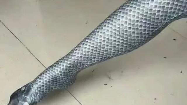 女子购买情绪丝袜给老公惊喜，藏进被子里只露出一只脚，结果被半夜回来的老公打骨折～