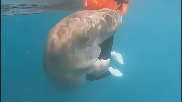 太亲了吧，都不给上去了