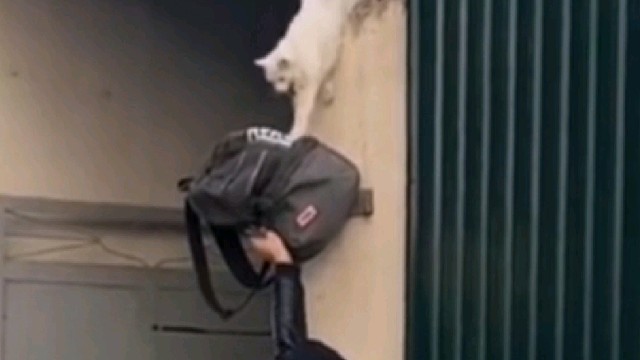 可爱的人，必有可爱之处。