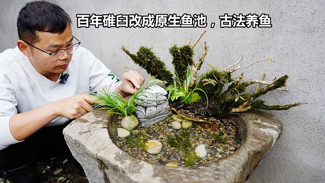 之前花400元买的古董碓臼，造景改成原生池古法养鱼，成品很惊艳