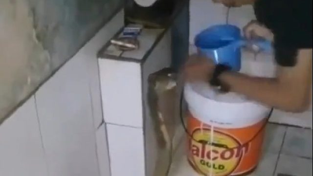 好歹我也是条能咬死一头牛的眼镜蛇，你能不能表现的害怕一点