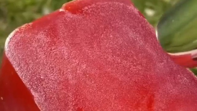 总有一天你会明白