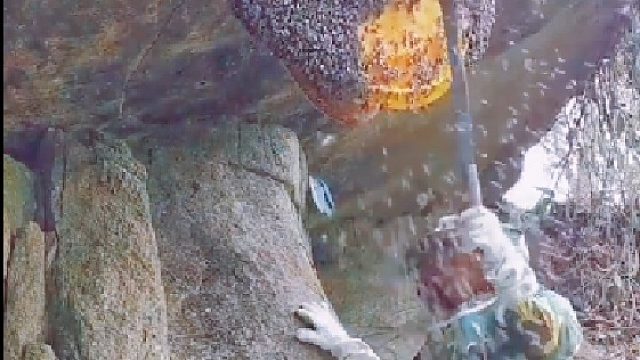 天然悬崖蜜，你见过吗？悬崖蜜