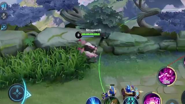 我能做的就是尽力赢下这一局