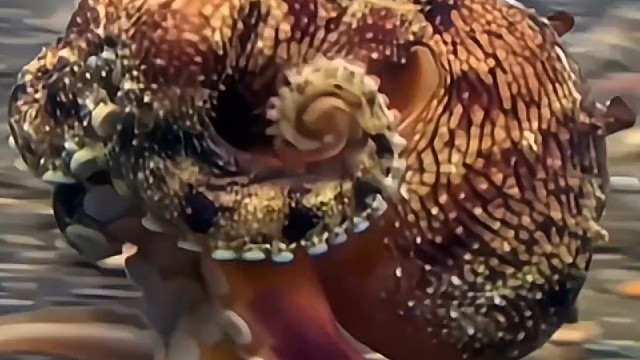 仔细看这是谁来了