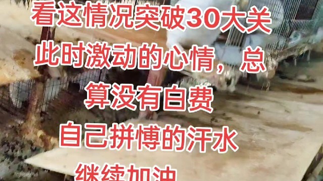 我发布了一个新视频，快来围观吧！