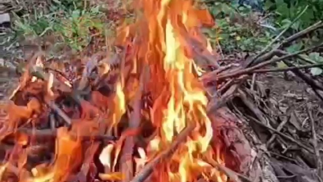 回家烧火……红红火火……