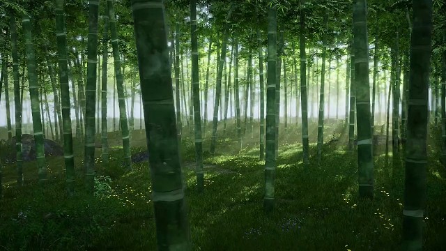 注定不能在一起，命运却要安排我们相遇，这也许就是感情中最令人心酸的事#情感