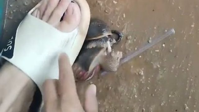 嫉妒使人面目全非