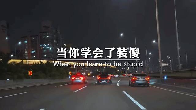 当你学会了装傻，懂得了扮演，突然间就会发现心知肚明的事，其实不必去言说，而言不由衷的人