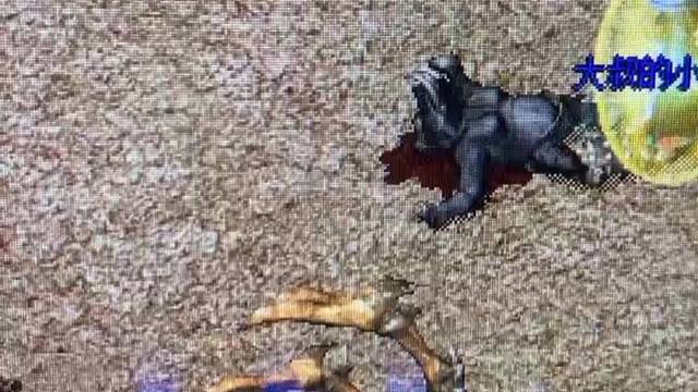 惊不惊喜，意不意外，刺不刺激……