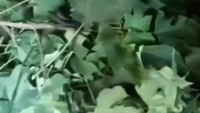 一位农村养兔人