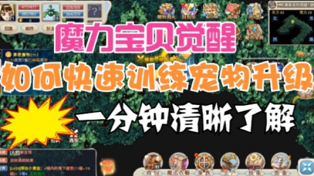 魔力宝贝手游：怎么快速训练宠物升级技巧