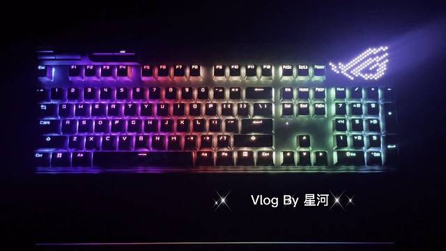 有什么关系呢
你柔软又坚硬、清冷又热烈
即使孤独，也是灿烂的