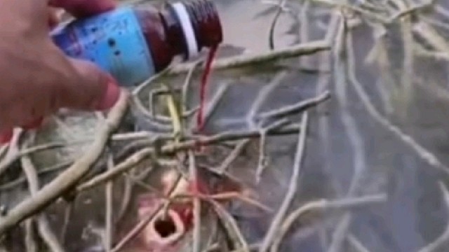 有哪位朋友知道滴进去的药水是什么？