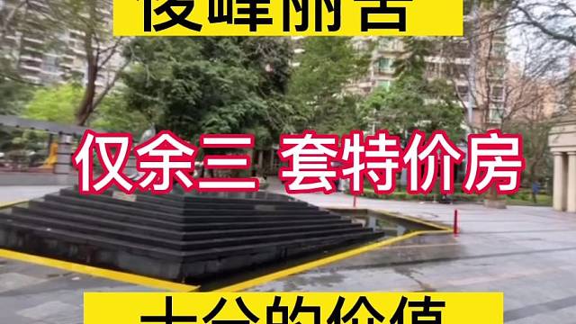 深圳南山
俊峰丽舍