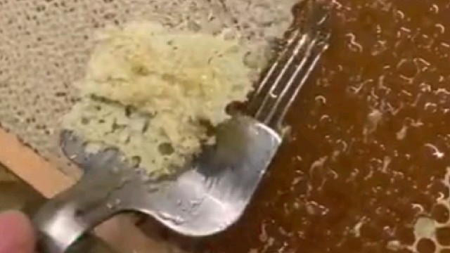 取集蜂蜜前，先把蜂窝上的蜡盖去掉