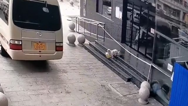 防火防灾防小狗，外卖不见的原因终于找到了