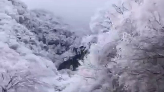 我想带一个人回云深不知处
带回去
藏起来